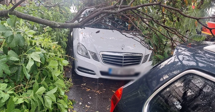 la Fălticeni, un copac a căzut peste o mașină FOTO: Facebook