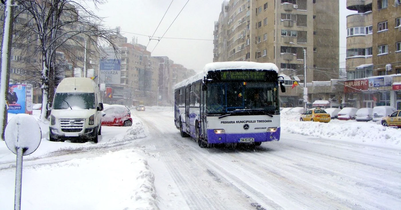 În viitor, drumul spre Ghiroda va putea fi făcut şi cu firobuzul. FOTO: Vali Silaghi
