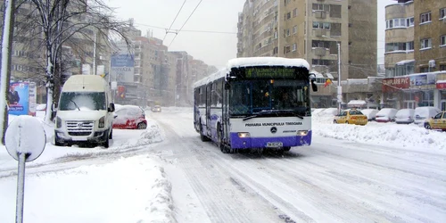 Autobuz în Timişoara