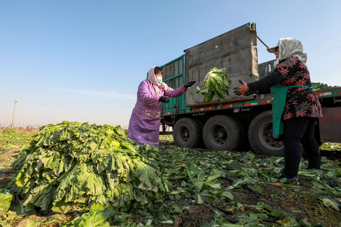Fermierii nu-și pot aduce legumele pe piaţă din cauza restricţiilor Covid FOTO Shutterstock 
