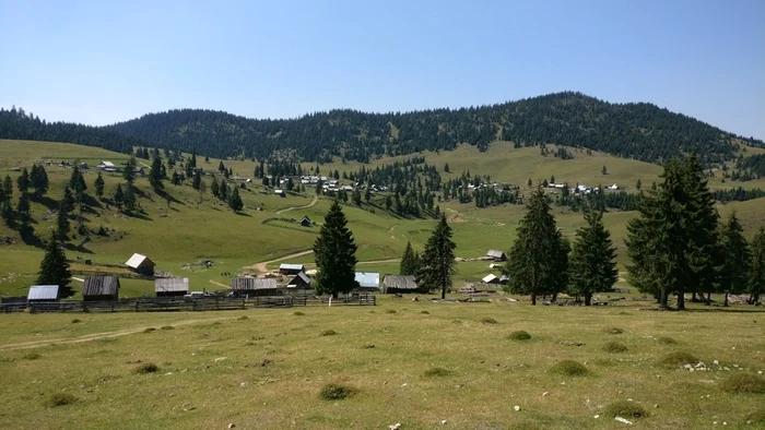 Poiana Călineasa FOTO gardadesus.ro