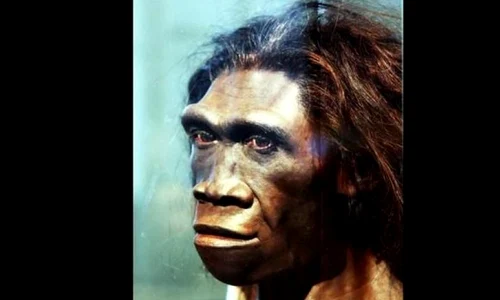 De ce este specia umană atât de inteligentă? Cercetătorii au găsit un răspuns jpeg