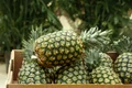 shutterstock 2747611539 jpg