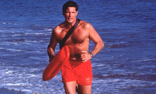 David Hasselhoff, profimedia 0140384089 jpg