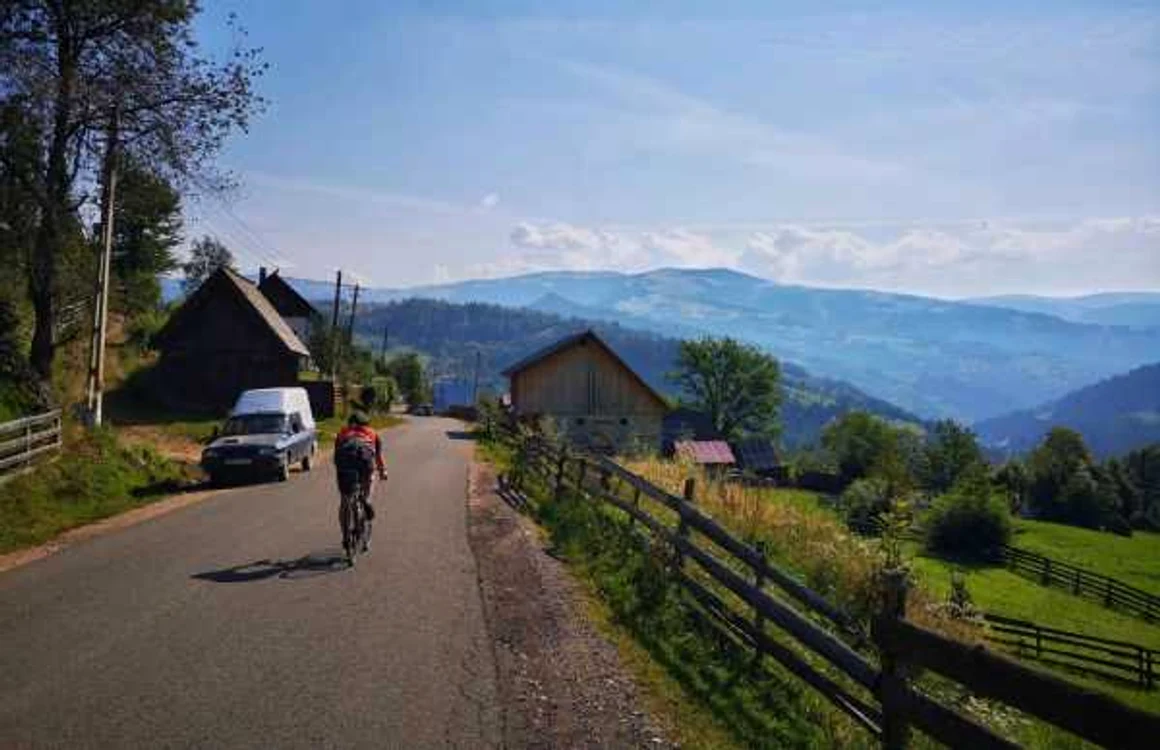 tranursoaia apuseni