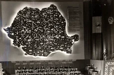 Nicolae Ceauşescu (© „Fototeca online a comunismului românesc”, cota: 10/1976)