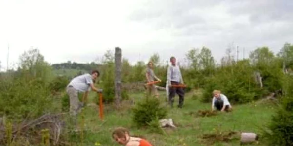 Împaduririle se bazează şi în acest an pe acţiuni de voluntariat