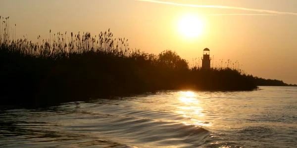 Delta Dunării (foto arhivă)