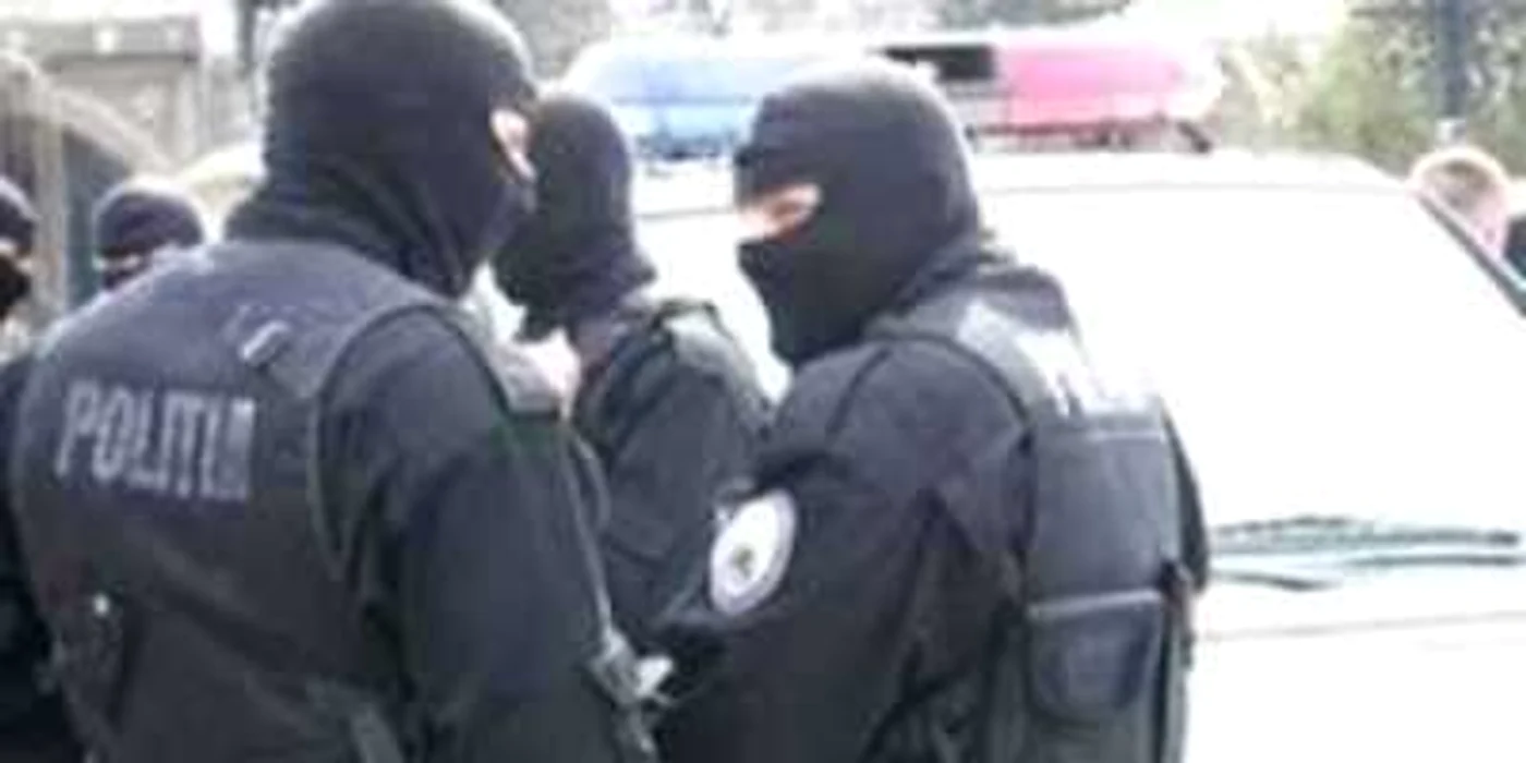 Bacău: Rețea de falsificatori de permise anihilată