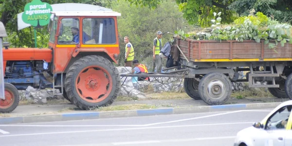 detinutii curata spatiul verde la severin FOTO Corina Macavei 