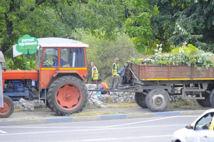 Deţinuţii fac curăţenie în Parcul Aluniş FOTO Corina Macavei