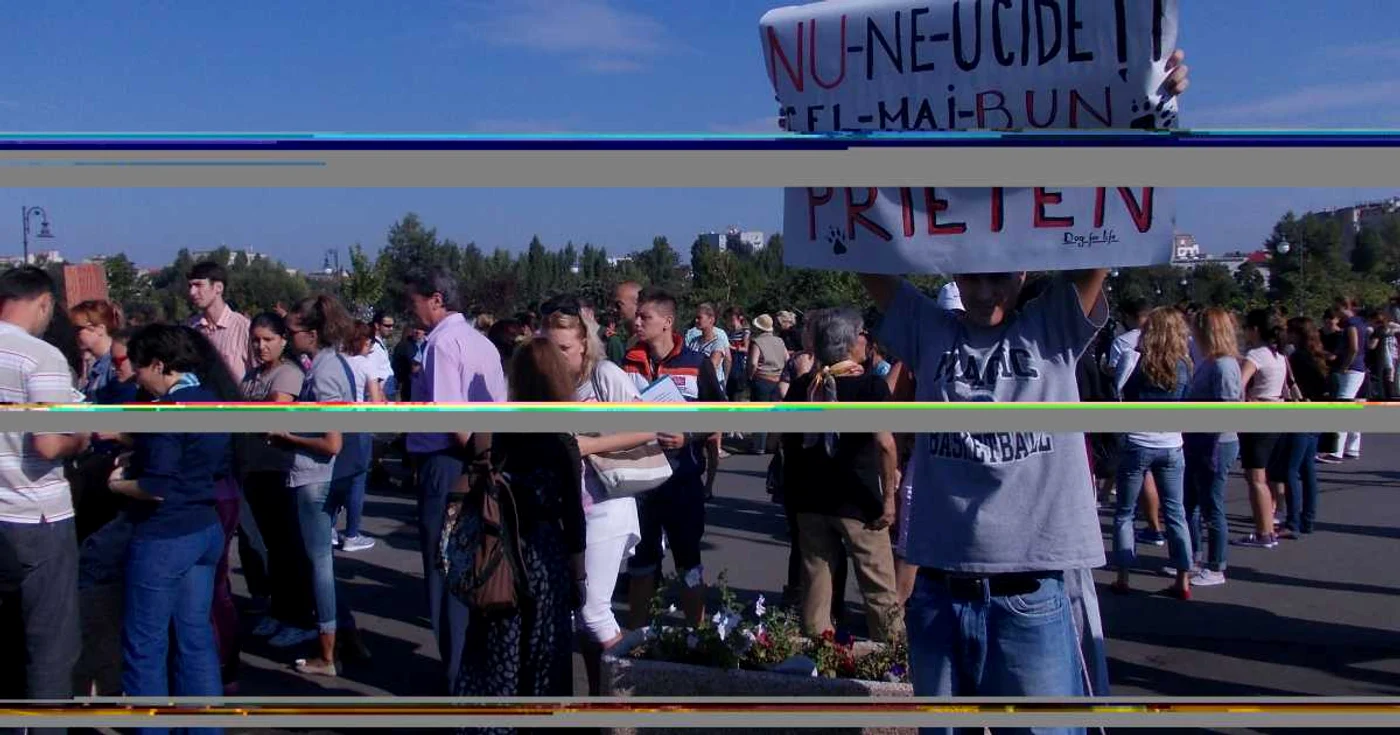 Manifestanţii s-au mutat în Piaţa Universităţii, după protestul din Parcul Izvor FOTO Cristina Răduţă
