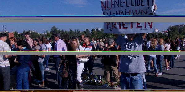 protest maidanezi
