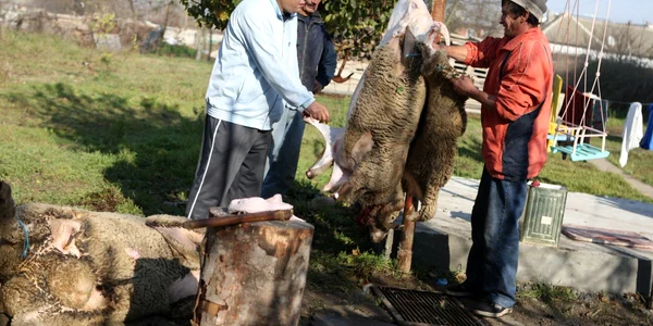Sacrificarea berbecului este un ritual important în familiile de musulmani, de la care deţinuţii vor lipsi