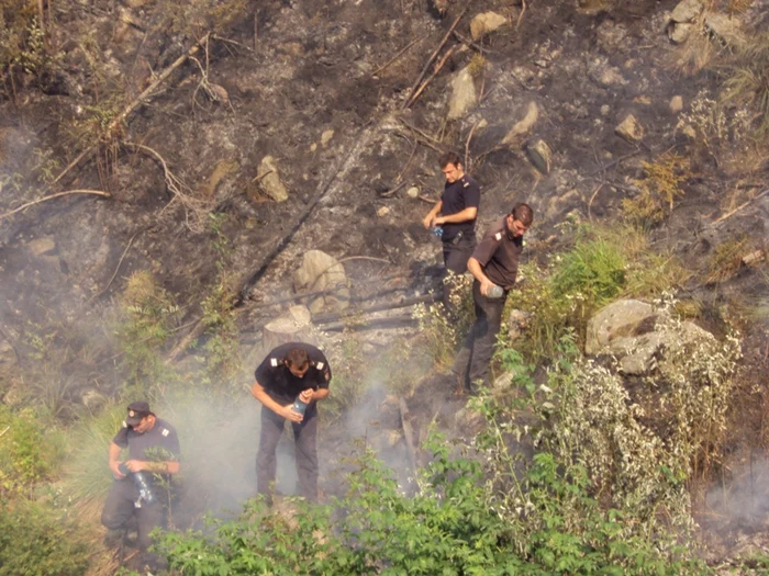 Pompierii se luptă cu focul