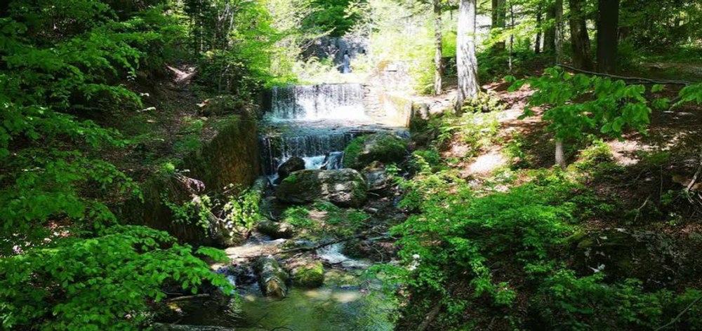 „Poteca Regală” din Valea Prahovei unde canicula devine „poveste”. Drumul prin pădure duce la o cascadă splendidă