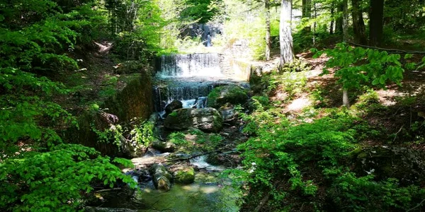 Cascada din Poteca Regală. FOTO stoicamihai.ro
