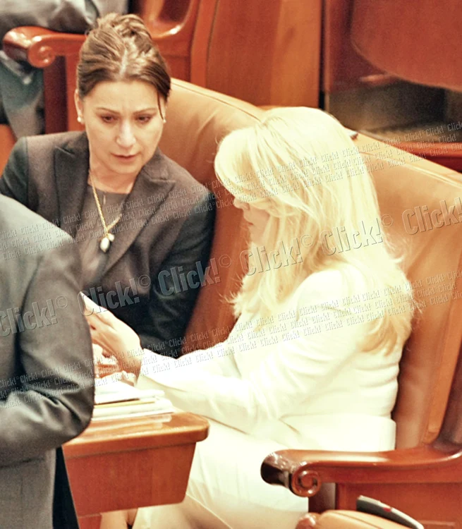 Plăcintă a plâns în faţa Elenei Udrea, în timp ce se afla în plenul Parlamentului, în ziua în care s-a votat moţiunea care a dus la căderea Guvernului Ungureanu