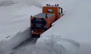 Troiene de zapada la Ranca DRDP Craiova png