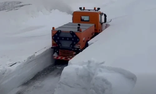 Troiene de zapada la Ranca DRDP Craiova png