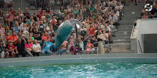 475813903 1053672440137742 4896577586059967061 n jpg