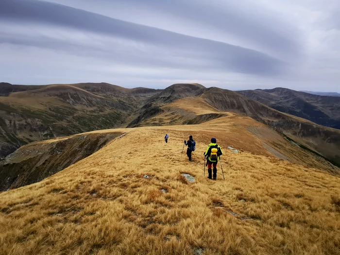 Poteca spre Vârful Gugu. Foto: Attila Dobai.