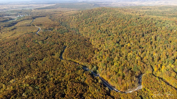 Codrii Voronei și drumul de la mănăstirea Voronei FOTO Turist În Țara Mea