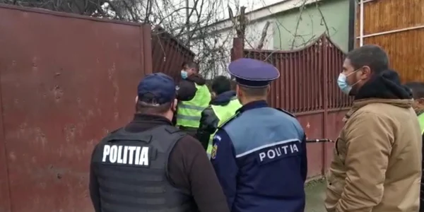 politie caini