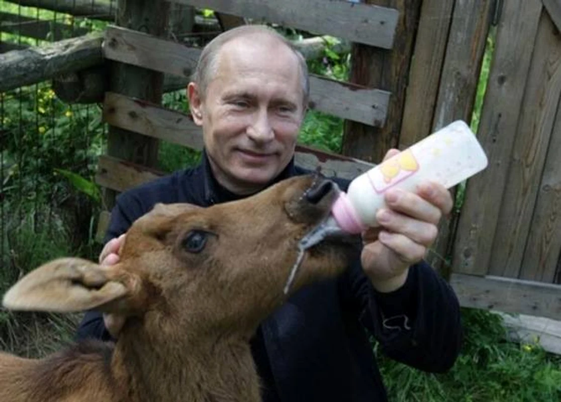 Vladimir Putin avere sporturi hobby (3) jpeg