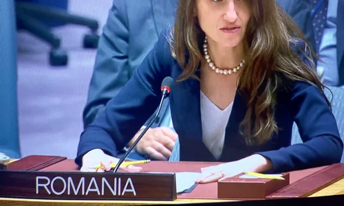 Oana Toiu la Consiliul de Securitate al ONU foto fb jpg