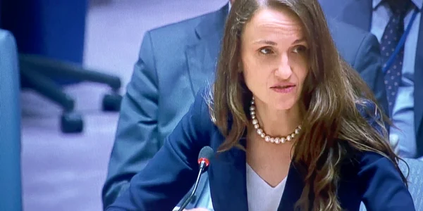 Oana Toiu la Consiliul de Securitate al ONU foto fb jpg