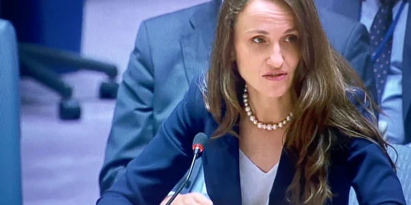 Oana Toiu la Consiliul de Securitate al ONU foto fb jpg