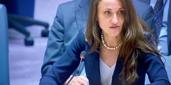Oana Toiu la Consiliul de Securitate al ONU foto fb jpg