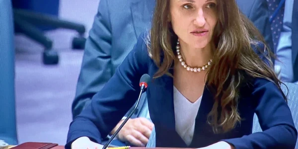 Oana Toiu la Consiliul de Securitate al ONU foto fb jpg