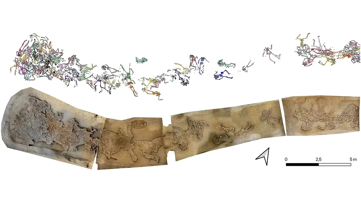 Înmormântarea în masă a scheletelor în șanțul așezării neolitice de la Vráble (jos), cu desene ale scheletelor individuale (© Katharina Fuchs, Agnes Heitmann, Nils Müller-Scheeßel, Till Kühl)