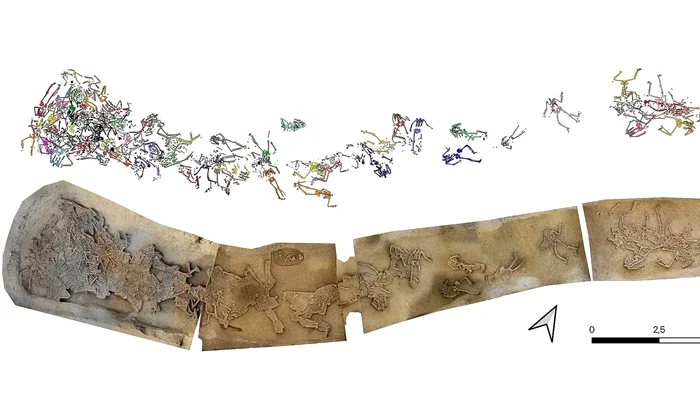 Înmormântarea în masă a scheletelor în șanțul așezării neolitice de la Vráble (jos), cu desene ale scheletelor individuale (© Katharina Fuchs, Agnes Heitmann, Nils Müller-Scheeßel, Till Kühl)