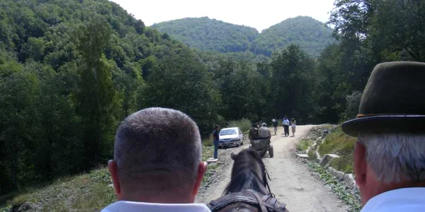 Moştenitorul ar fi proprietarul pădurilor din judeţ