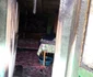 incendiu negresti
