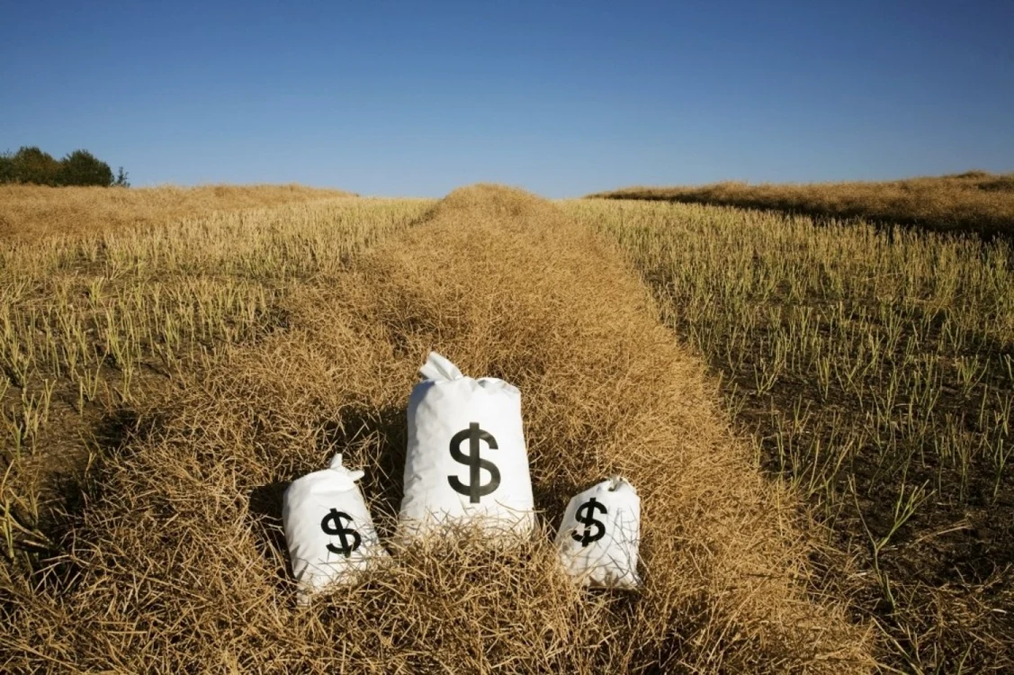 Ideile de afaceri pot aduce miliarde de dolari investitorilor care îşi asumă riscurile de început