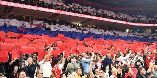 steaua rosie fb1 jpg