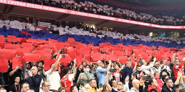 steaua rosie fb1 jpg