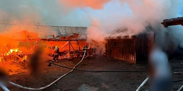 Incendiu de proporții la două adăposturi de animale din Suceava foto isu suceva jpeg