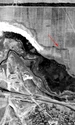 O nouă așezare fortificată, identificată la Gura Bâcului (© Facebook / Agenţia Naţională Arheologică)