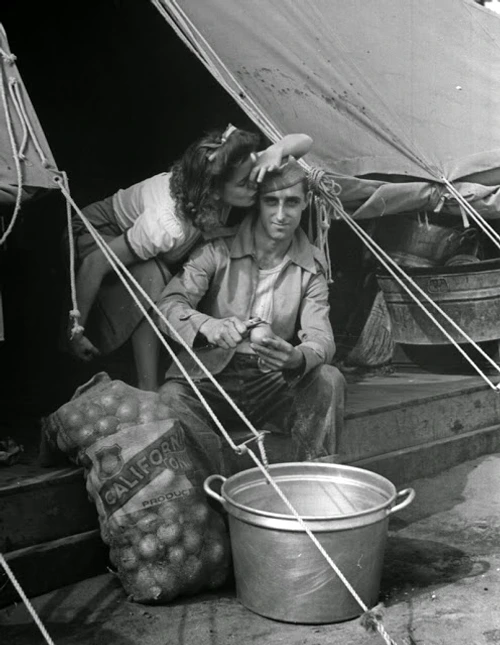 marilyn hare 1942 8 jpg jpeg