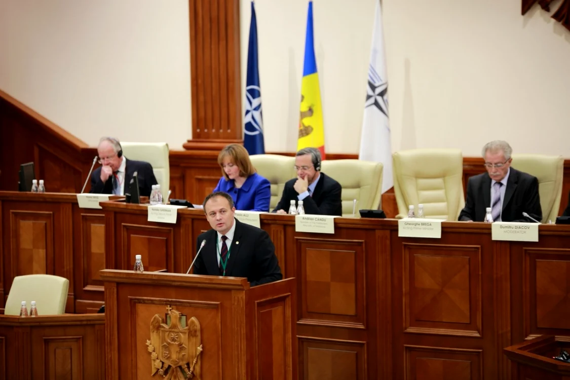 Andrian Candu se adreseaza parlamentarilor NATO: FOTO: gov.md