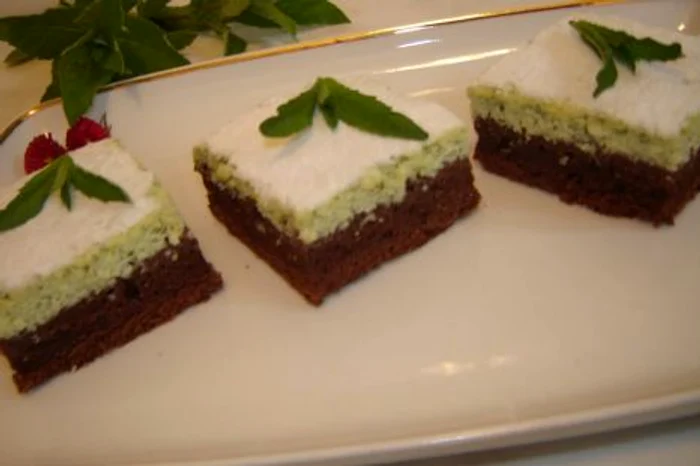 
    Flavia Apostol în costum de baie  