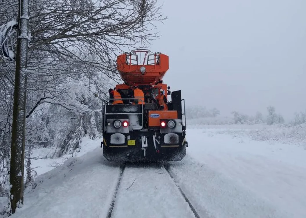 Trenurile au staţionat din cauza crengilor căzute şi a stratului de zăpadăfoto: CFR Infrastructură