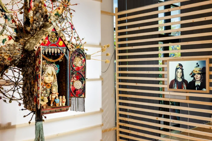 Trei artiști tineri au reinterpretat povestea Stelei dintr-o perspectivă contemporană. FOTO: Arhivă