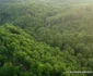 Pestera Găunoasa Hunedoara Foto Daniel Guță ADEVĂRUL (60) JPG
