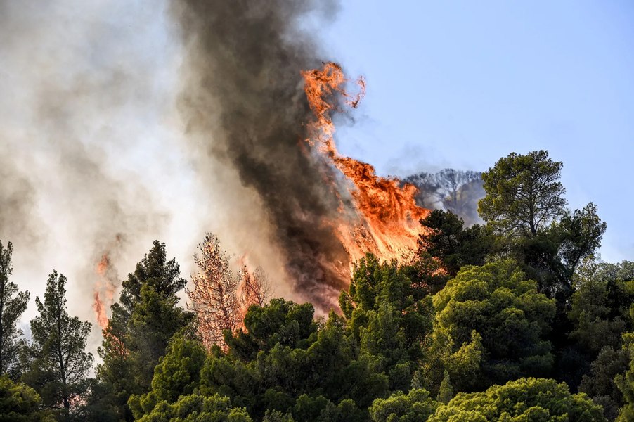 Incendiile de vegetație din nord-estul Greciei continuă să ardă necontrolat    